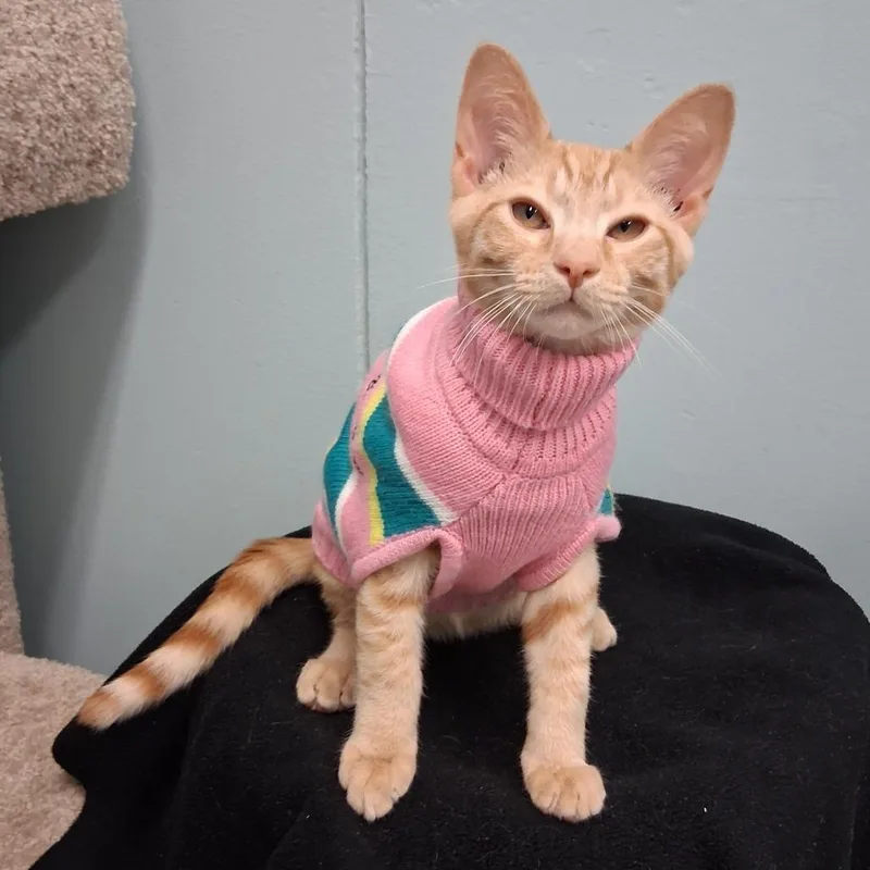 Milo