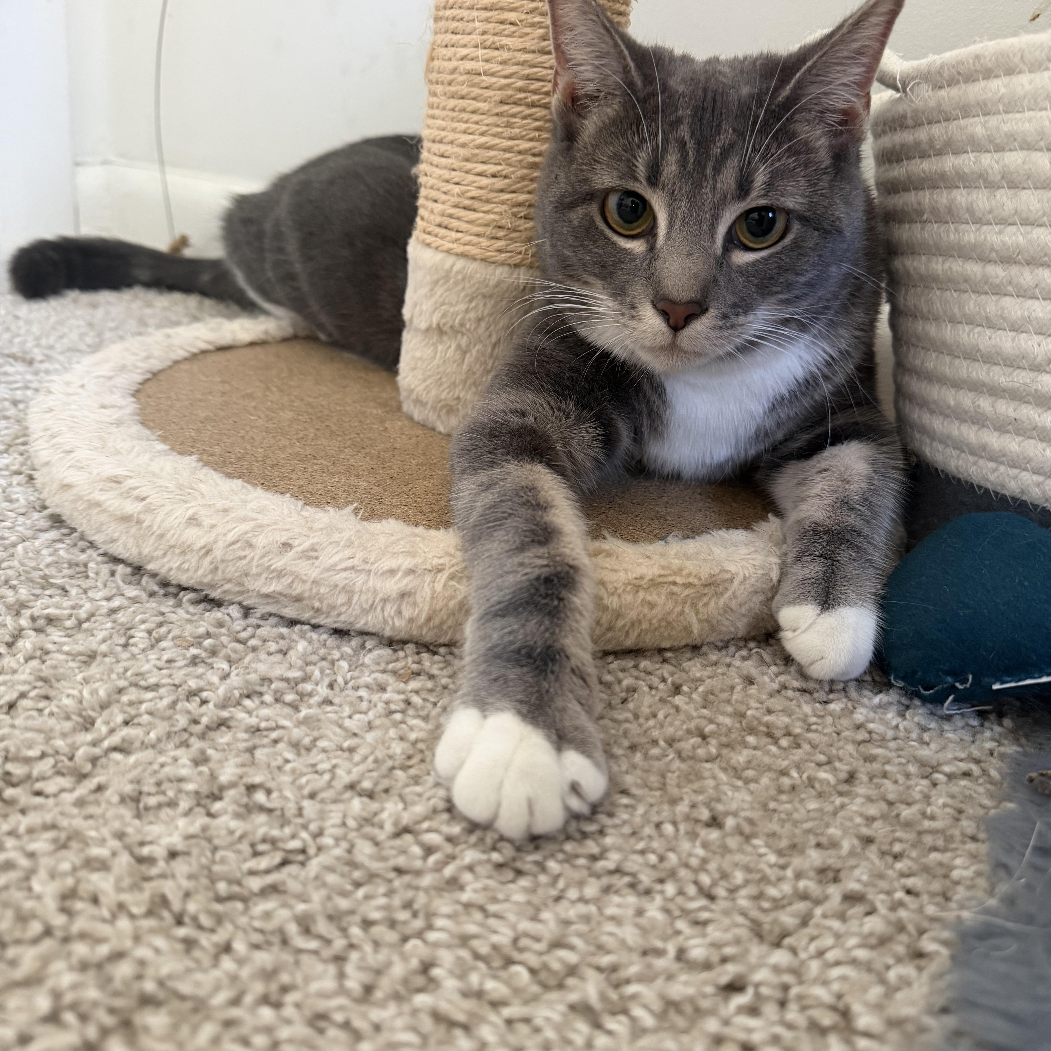 Jupiter & Neptune thumbnail 2