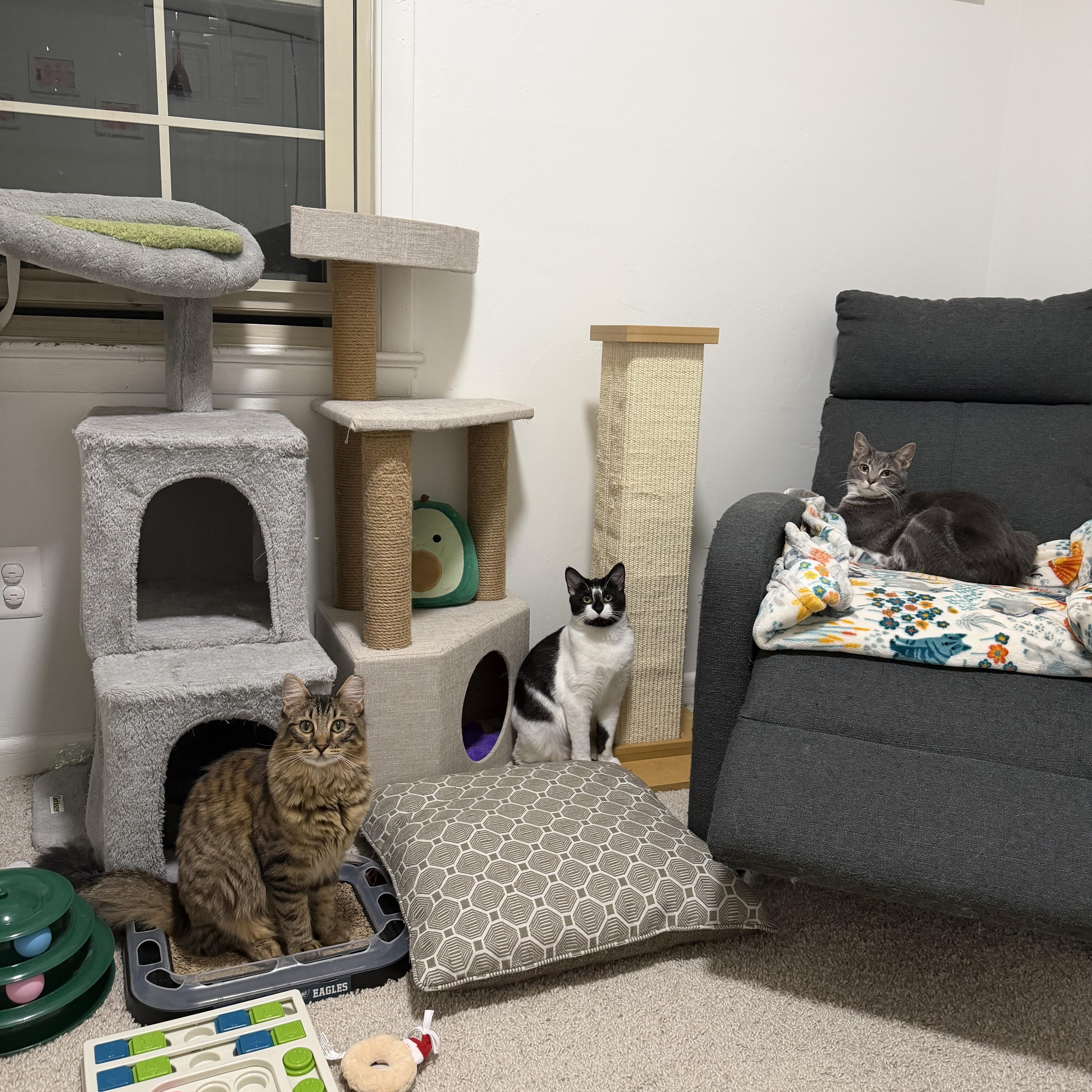 Jupiter & Neptune thumbnail 4