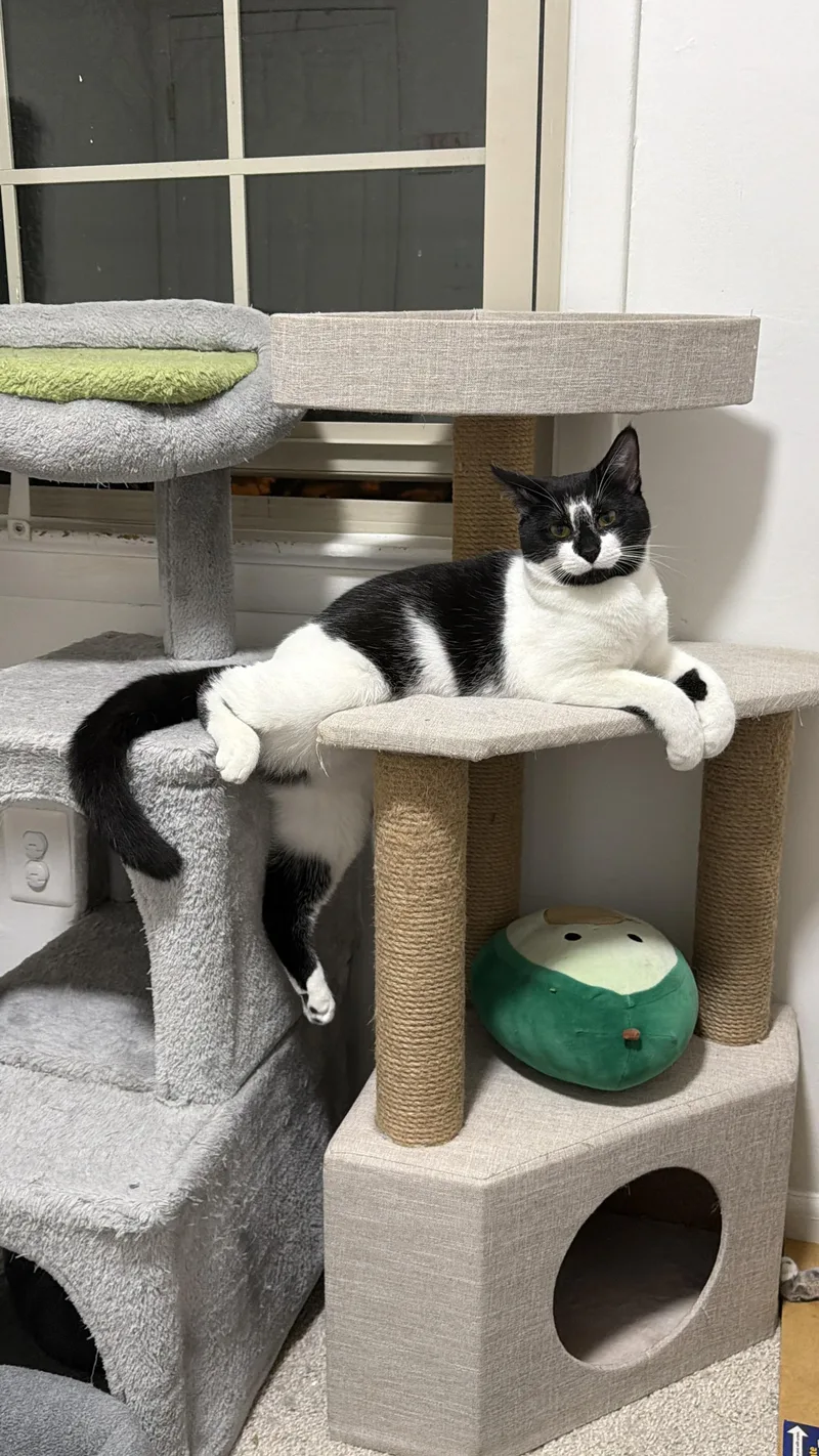 Jupiter & Neptune thumbnail 5