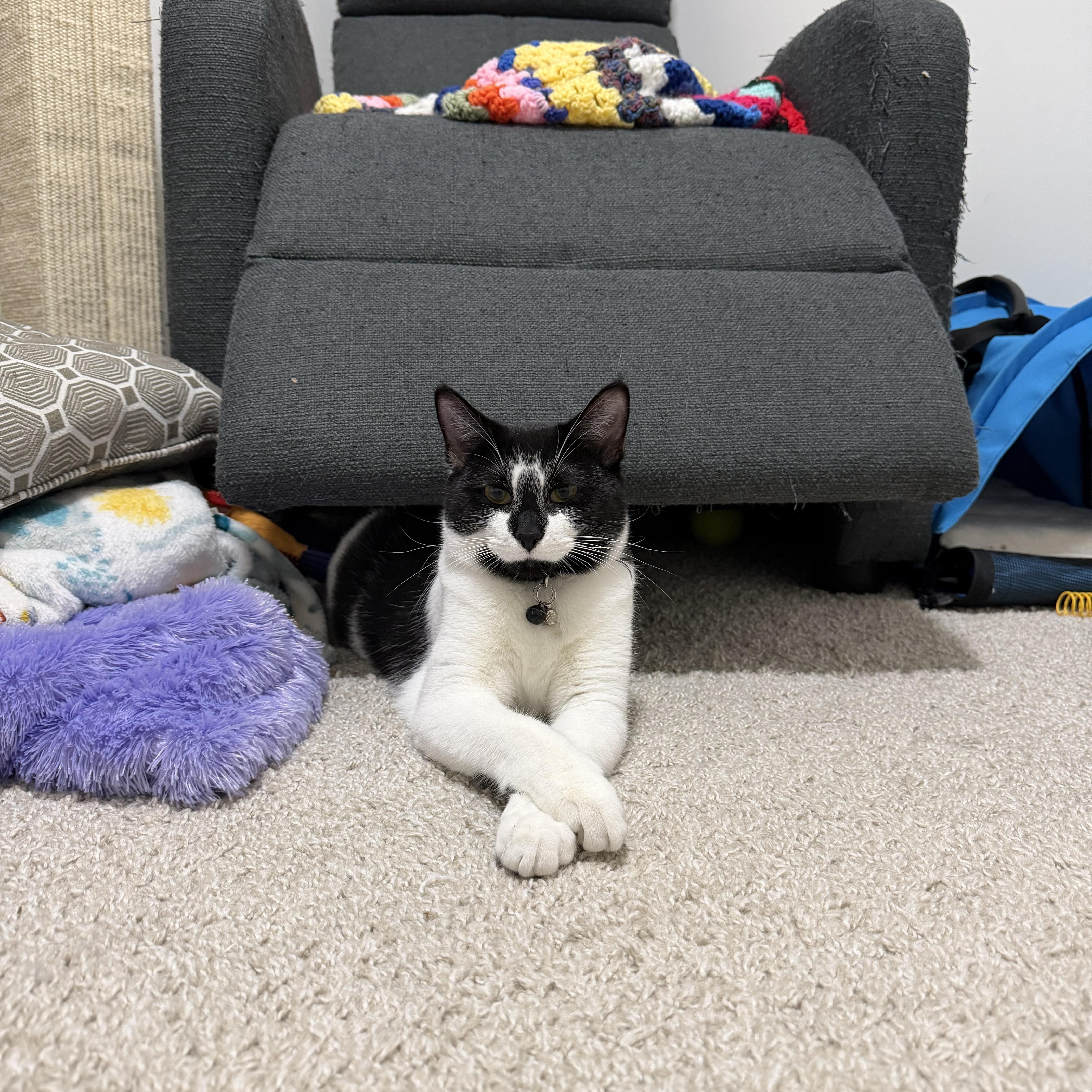 Jupiter & Neptune thumbnail 6