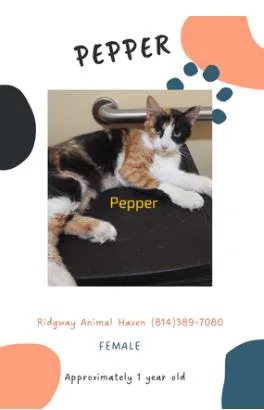 Pepper
