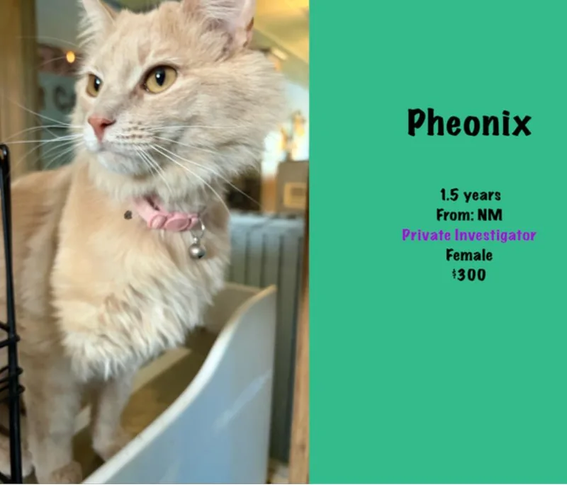 Phoenix thumbnail 2
