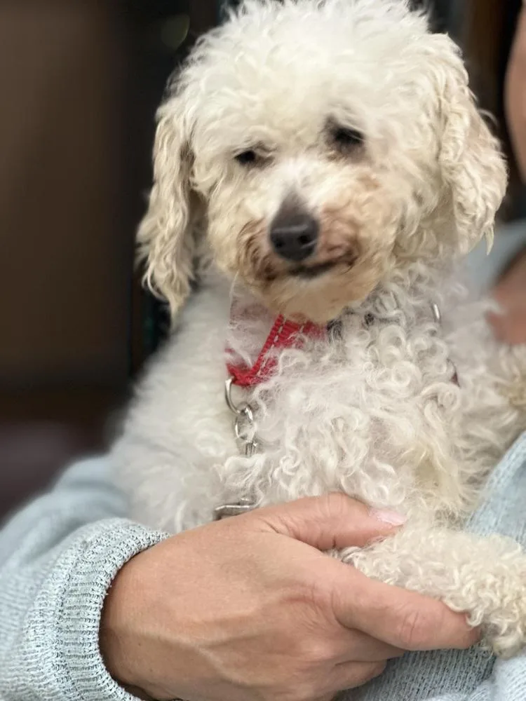 Coco thumbnail 2