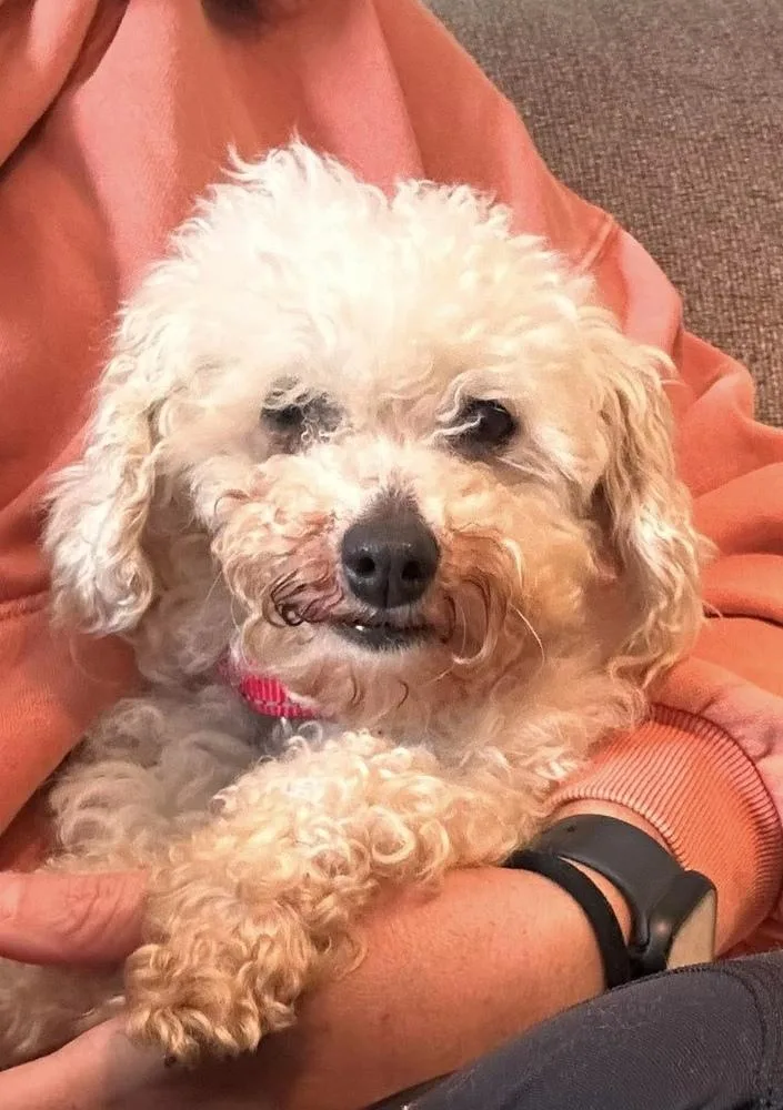 Coco thumbnail 3