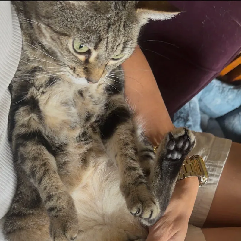 Emmie thumbnail 6