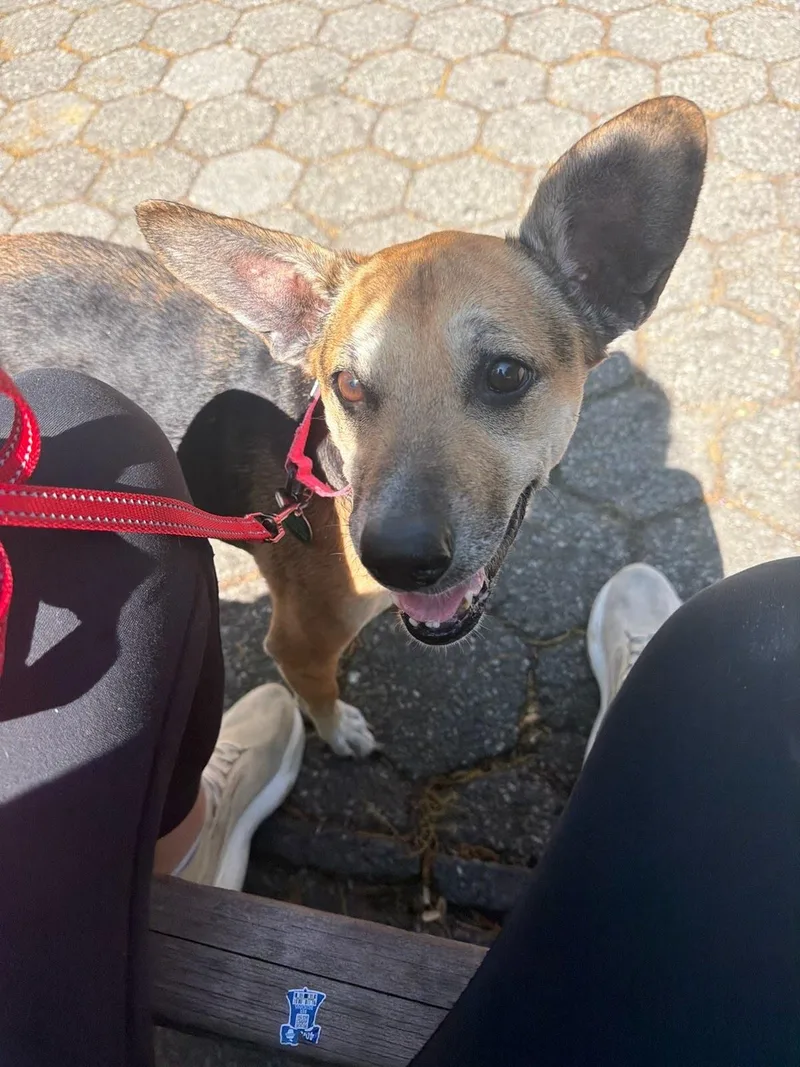 Bella thumbnail 5