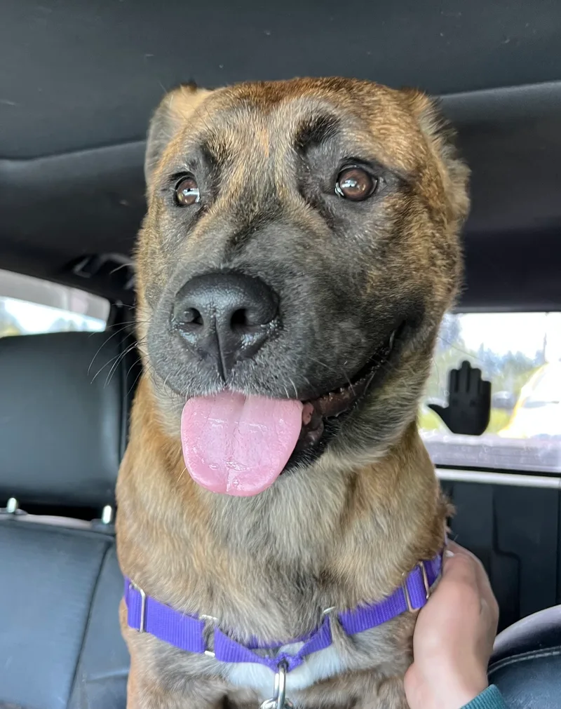 Vin Diesel thumbnail 2