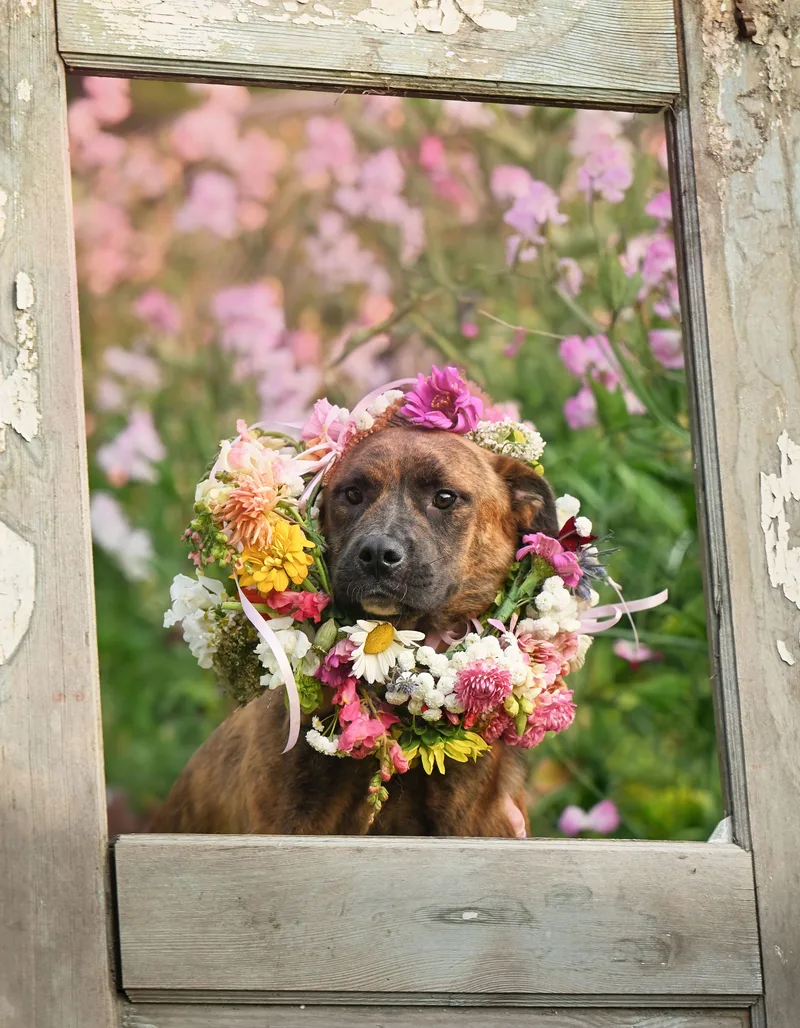 Vin Diesel thumbnail 3