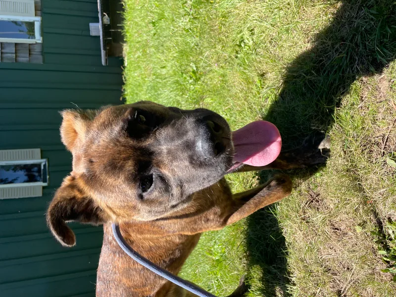 Vin Diesel thumbnail 4