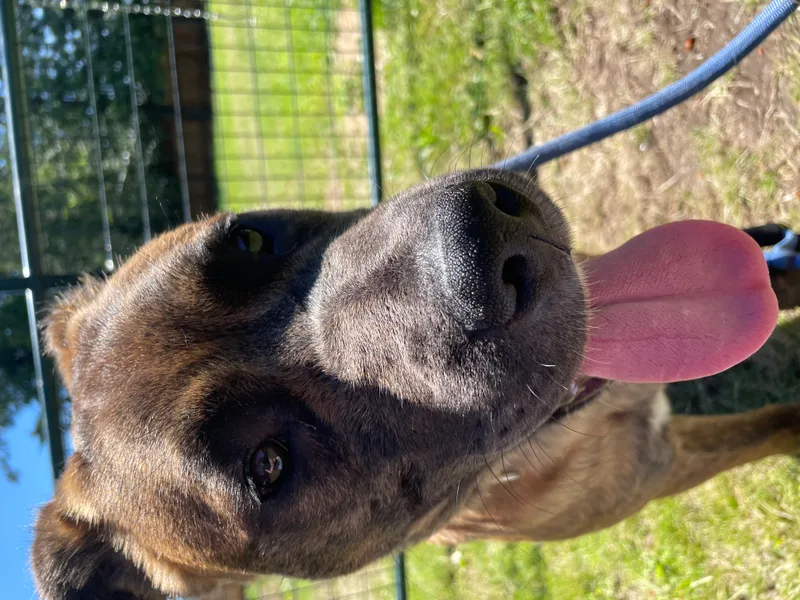 Vin Diesel thumbnail 5