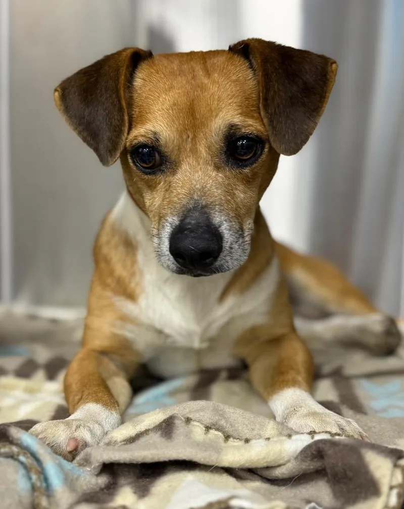 Uncle Lewis thumbnail 2