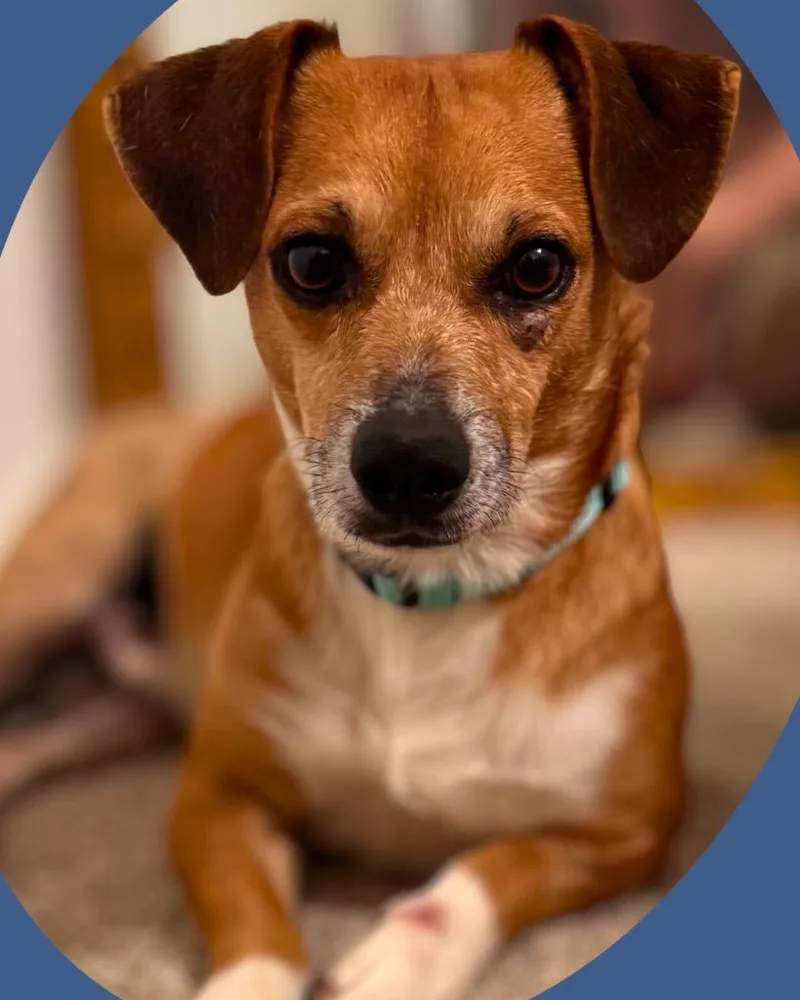 Uncle Lewis thumbnail 3