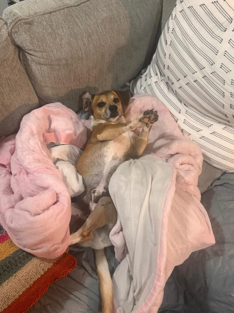 Uncle Lewis thumbnail 4