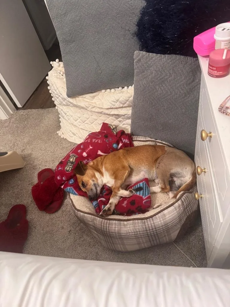 Uncle Lewis thumbnail 5