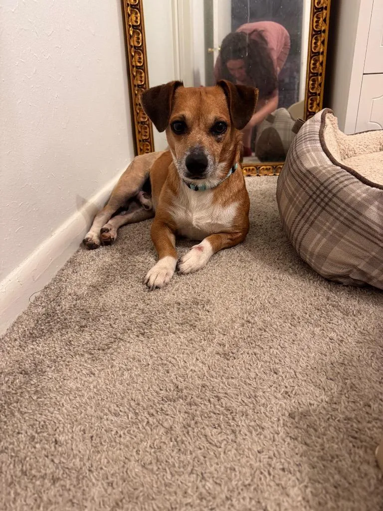 Uncle Lewis thumbnail 6