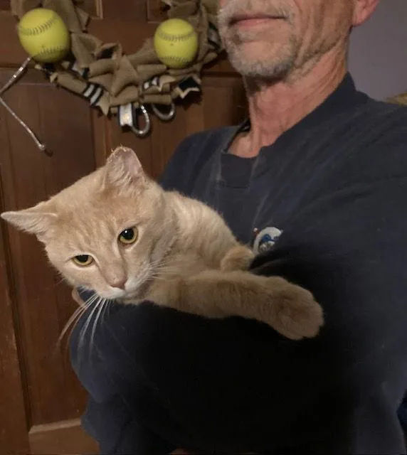 Butternut thumbnail 3