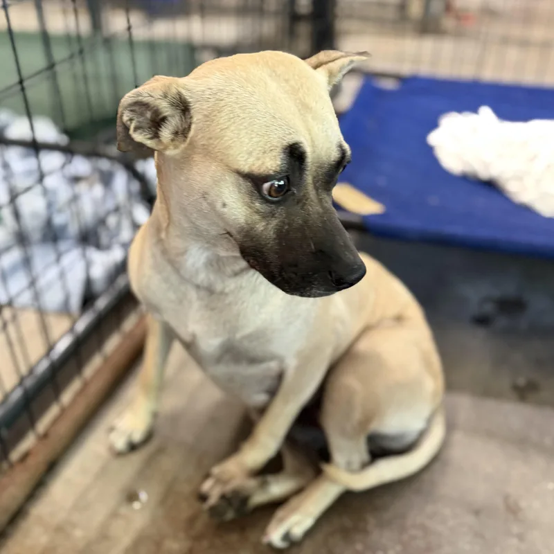 Margarita thumbnail 2