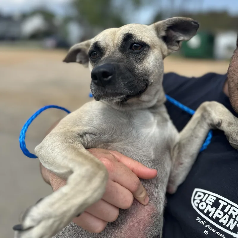 Margarita thumbnail 4