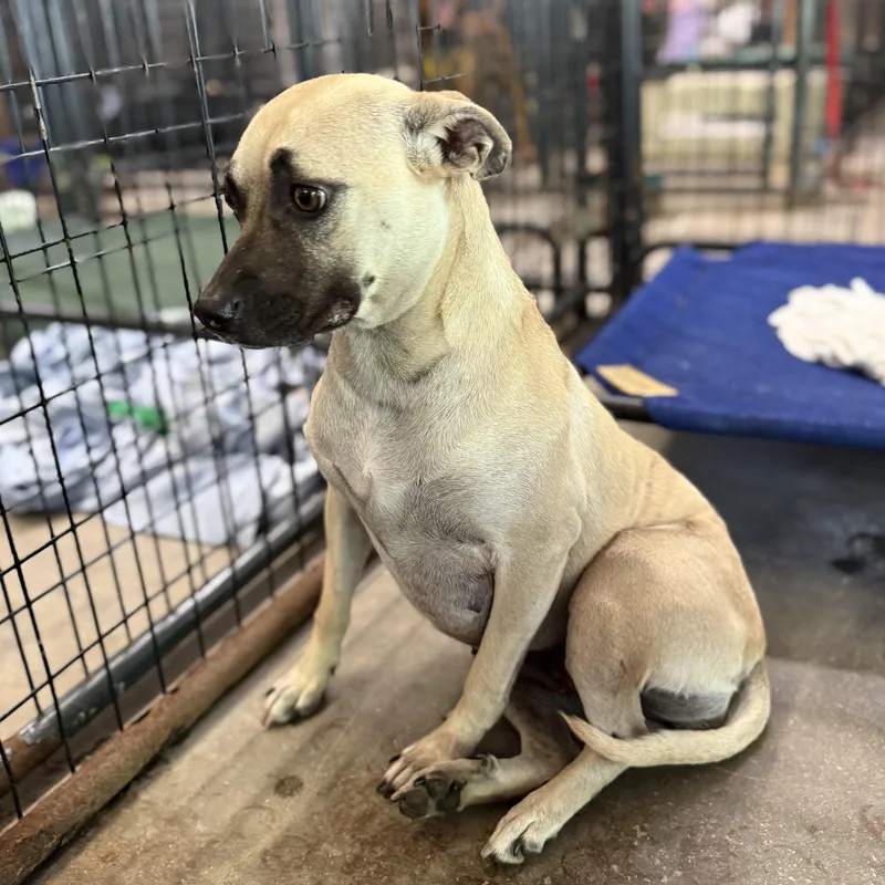 Margarita thumbnail 5