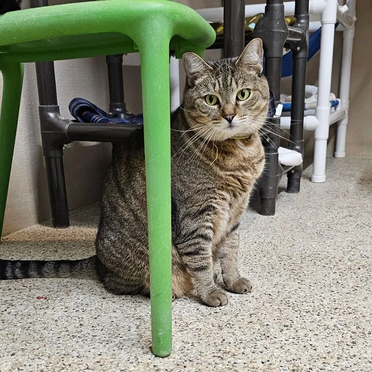 Sprinkles thumbnail 2