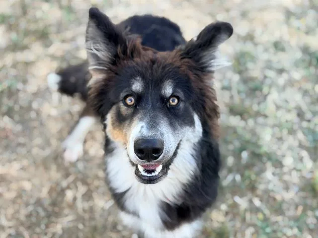 Max
