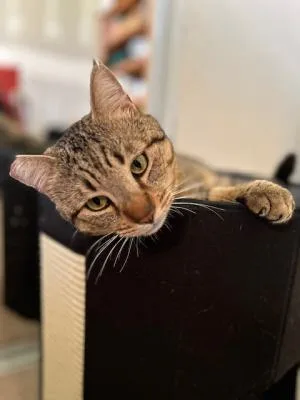 Lucky Larry thumbnail 2