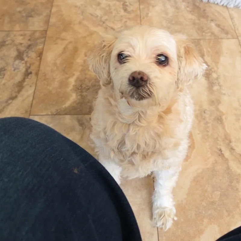 Lily boyd thumbnail 2