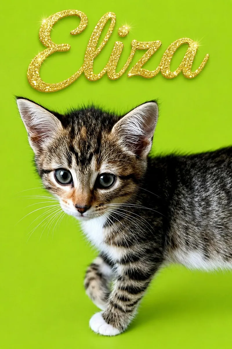Eliza thumbnail 3