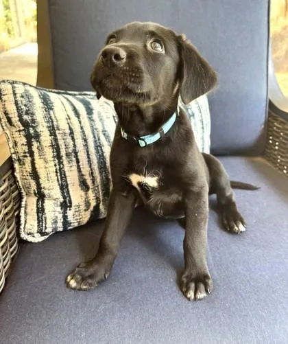 Skye