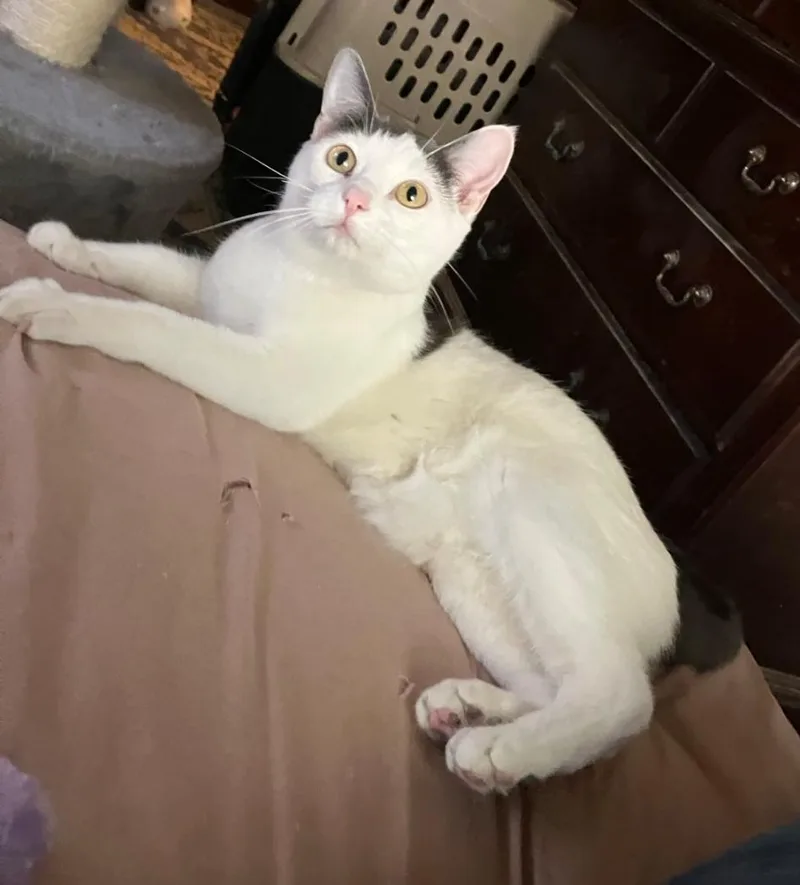 Sarah Conner thumbnail 2