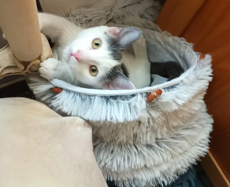 Sarah Conner thumbnail 3