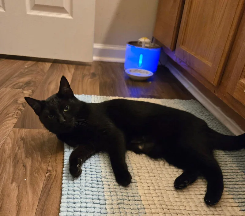 Friendly thumbnail 2