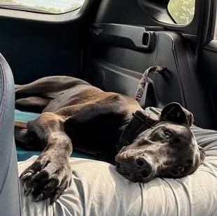 Surprise thumbnail 2