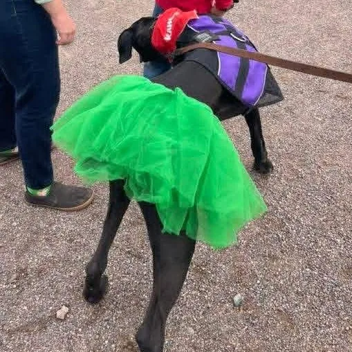 Surprise thumbnail 4