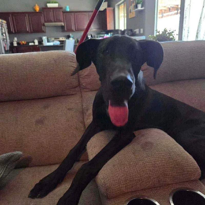 Surprise thumbnail 5