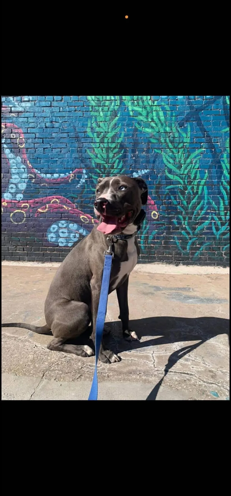 Cooper Cl thumbnail 2