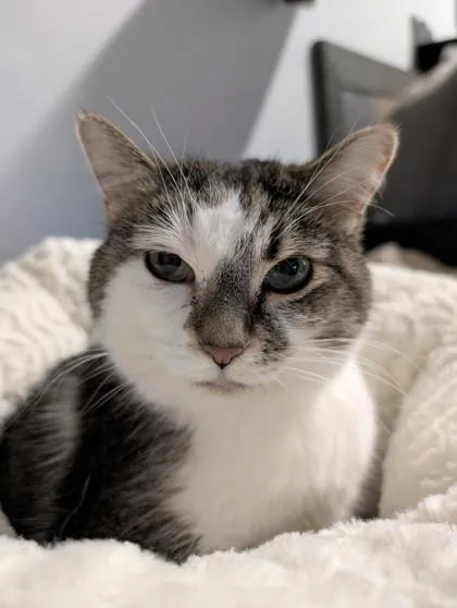 Mamacita thumbnail 2