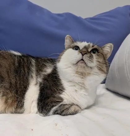 Mamacita thumbnail 5