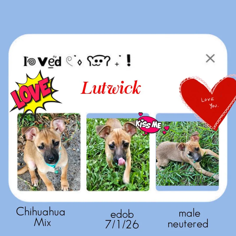 Lutwick BRT thumbnail 3