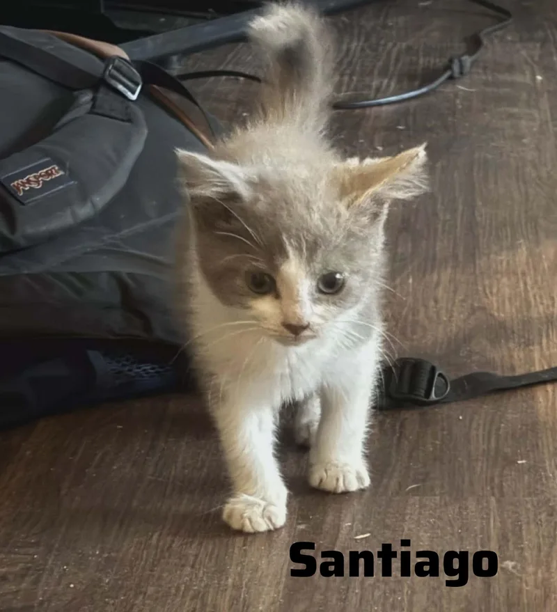 Santiago thumbnail 2