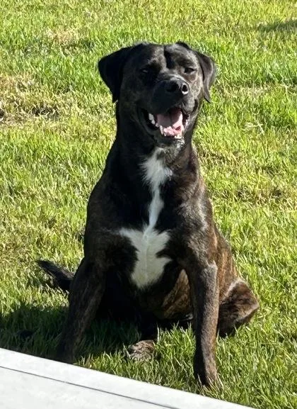 Greenley thumbnail 2