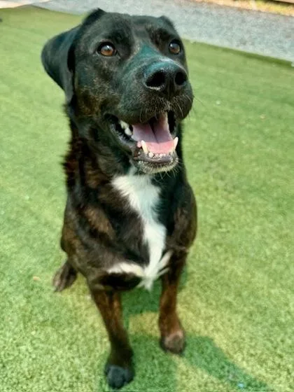 Greenley thumbnail 3