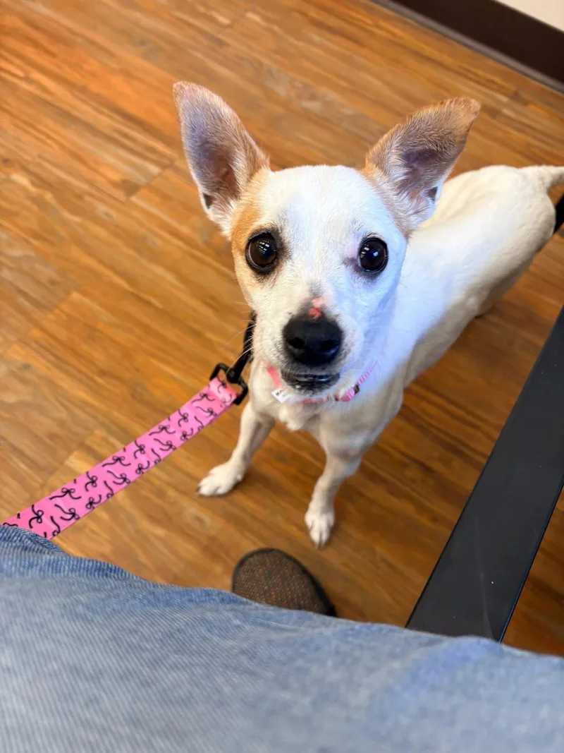 Francine thumbnail 3