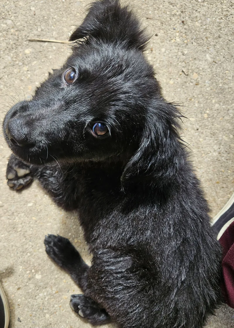 Mr. Feeney thumbnail 2