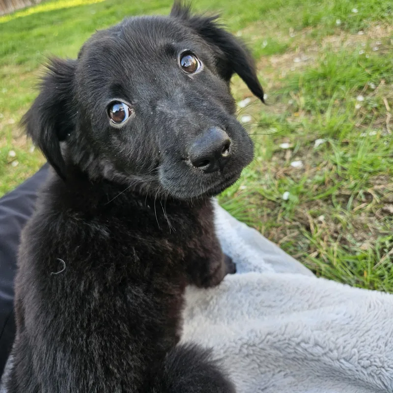 Mr. Feeney thumbnail 3