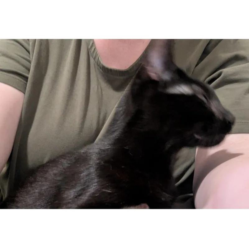 Boop thumbnail 5