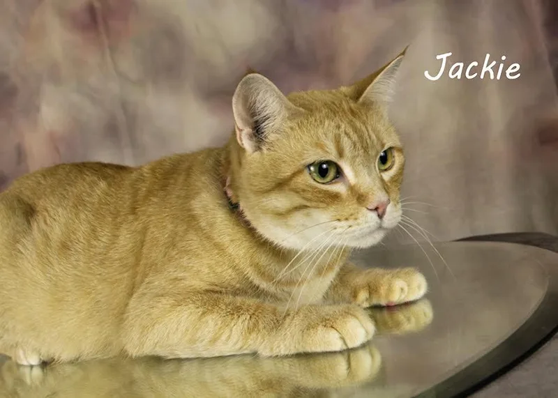 Jackie