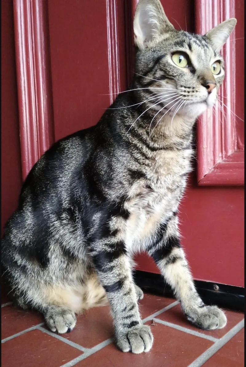 Arnold Perlstein thumbnail 3