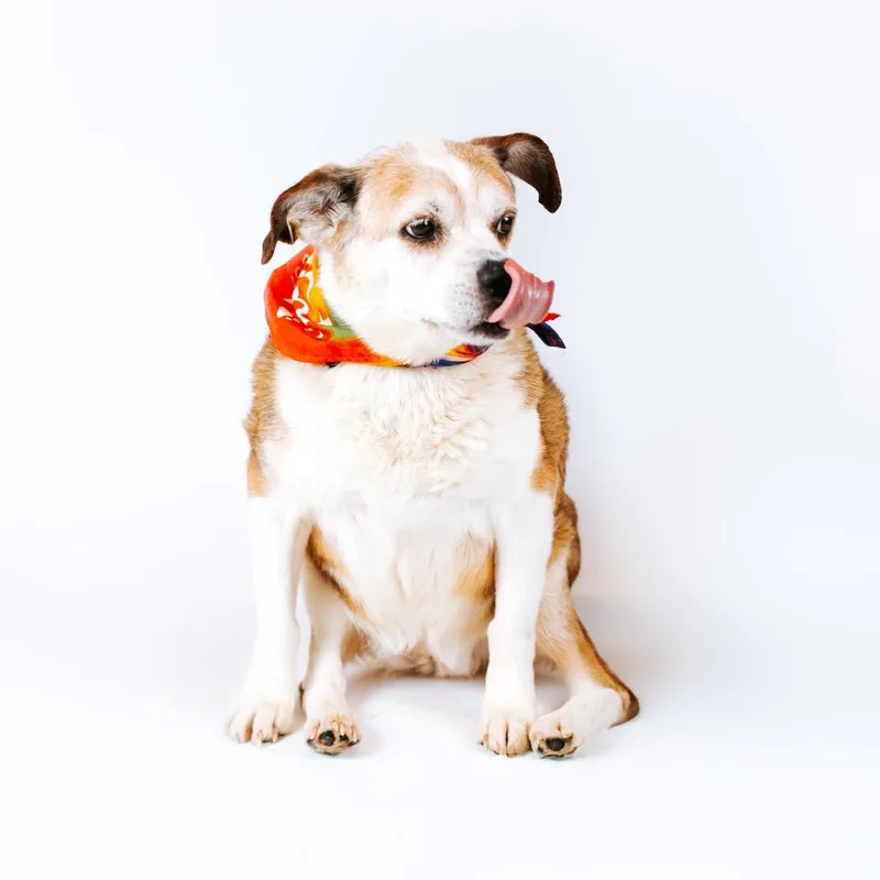 Ugga Bonded With Eep